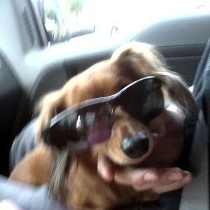 Meet your Posher, Wendy